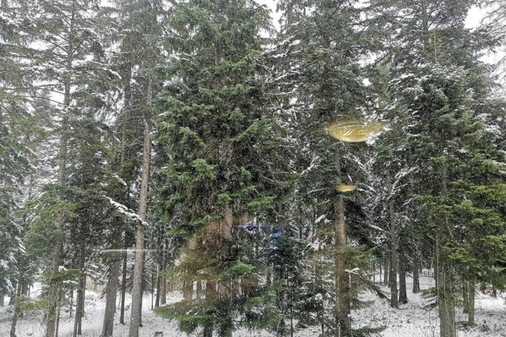 Studio Iceberg Borovets Студио с кухня Экстерьер фото