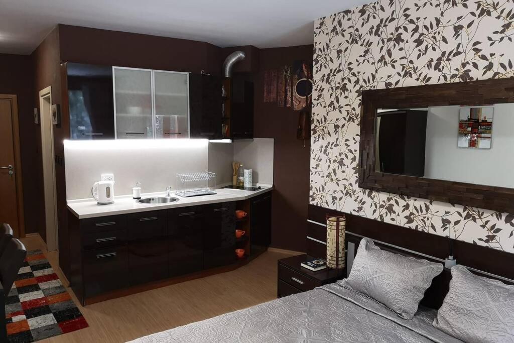 Studio Iceberg Borovets Студио с кухня Экстерьер фото